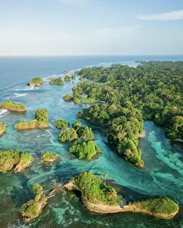 Rhizophoraceae: Island world, mangrove system, turquoise water