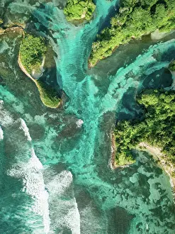 Rhizophoraceae: Island world, mangrove system, turquoise water