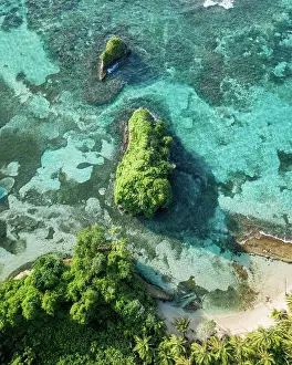 Rhizophoraceae: Island world, mangrove system, turquoise water
