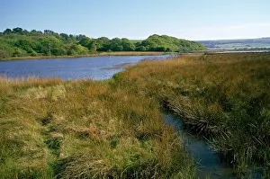 Wight: Isle of Wight - Brading - lagoon