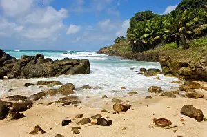 Escape: Isolated beach on Fregate Island