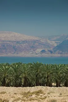 Israeli: Israel, Dead Sea, Metzoke Dragot, Dead Sea