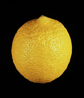 Lemon: Italian lemon