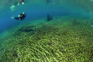 Plunging: Italy, Abruzzo, Capestrano, Capo d'Acqua lake scuba diver ex
