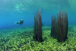 Dives: Italy, Abruzzo, Capestrano, Capo d'Acqua lake scuba diver ex