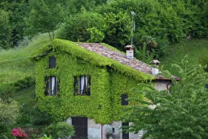 Leafy: Italy, Como Province, Bellagio. Leafy house
