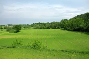 Brescia: Italy, countryside, wheat fields