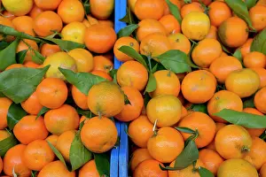 Umbria: Italy, Orvieto. Box of fresh Clementine