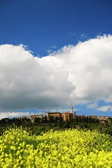 Pienza: Italy, Pienza. Flowers bloom below the hilltop
