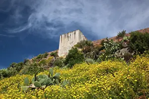 Castello: Italy, Sardinia, Bosa. Cacti and Castello