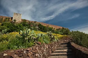 Stair: Italy, Sardinia, Bosa. Cacti and Castello