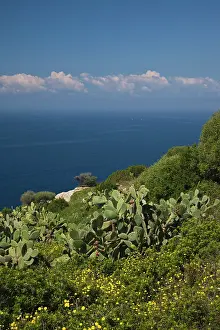 Cagliari: Italy, Sardinia, Capoterra. Southeast coast