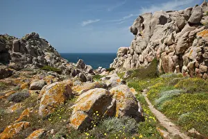 Tempio: Italy, Sardinia, Santa Teresa Gallura. Capo