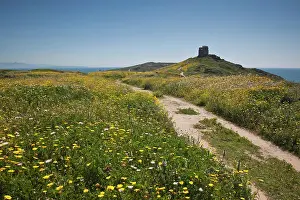 Oristano: Italy, Sardinia, Tharros. Spanish tower