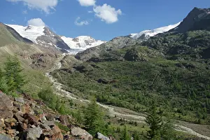 Stelvio: Italy, Stelvio National Park, Forni valley