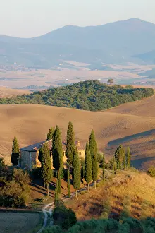 Julie: Italy, Tuscany. Belvedere House, Olive trees, and