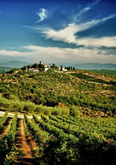 Castello: Italy, Tuscany, Greve. The vineyards of