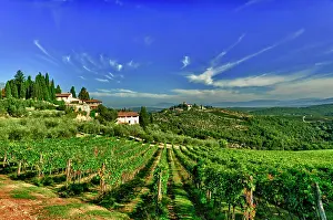 Castello: Italy, Tuscany, Greve. The vineyards of