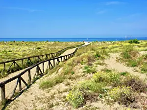 Fence: Italy, Tuscany, Versilia. Path from the parking lot to the
