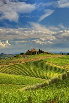 Julie: Italy, Tuscany. A view of the vineyards and villa