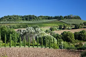 Julie: Italy, Tuscany. Villa on hillside surrounded with