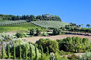 Julie: Italy, Tuscany. Villa on hillside surrounded with