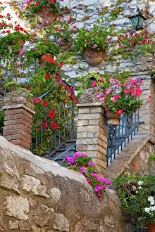 Home: Italy, Umbria, Assisi. Entrance to a home with flowering