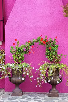 Julie: Italy, Venice, Burano Island. Urns planted with