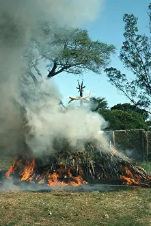 Anti: Ivory Bonfire