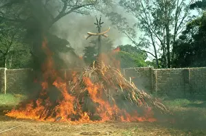 Anti: Ivory Bonfire