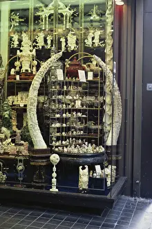 Goods: Ivory Products, Fifth Avenue, NYC