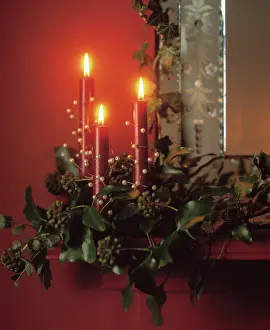 Lifestyle: Ivy