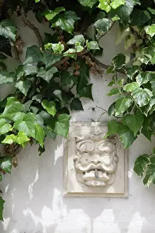 Helix: Ivy