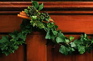 Garland: Ivy