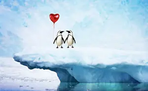 Shelf: Jackass Penguins, on iceberg, holding hands and