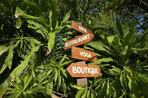 Signs: Jamaica, Negril, Wooden signs at Rockhouse