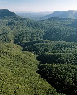 Jamison: Jamison Valley Blue Mountains National Park