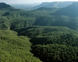 Jamison: Jamison Valley from Echo Point
