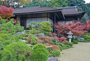 Pathway: Japan, Kyoto, Arashiyama, Sagano, Okochi