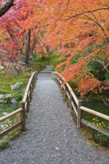 Pathway: Japan, Kyoto, Sento Imperial Palace Garden