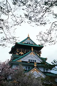 Ross: Japan, Osaka. Osaka Castle and cherry blossom