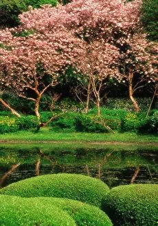 Orderly: Japan, Tokyo. Reflecting pond, Imperial