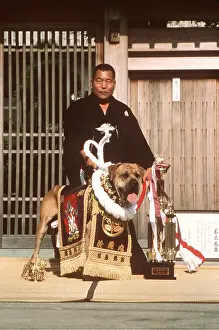 Competition: JAPANESE FIGHTING DOG / Japanese Toza / Tosa and handler