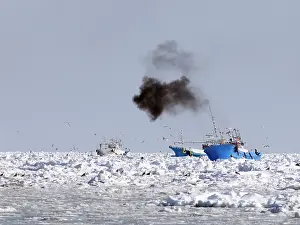 Rausu: Japanese fishingboats between sea ice
