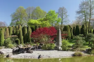 Amusement: Japanese garden with small pagoda, leisure park