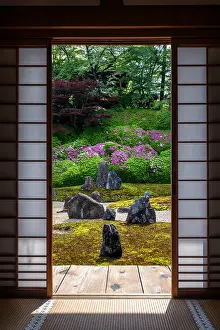 Acer: Japanese rock garden in Komyoin temple, Kyoto, Japan