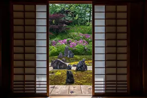Acer: Japanese rock garden in Komyoin temple, Kyoto, Japan