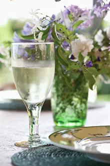 Jasminum: Jasmine