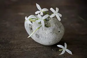 Minimal: Jasmine