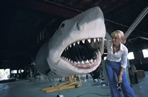 Valerie: JAWS - Mechanical Great White shark. Valerie Taylor